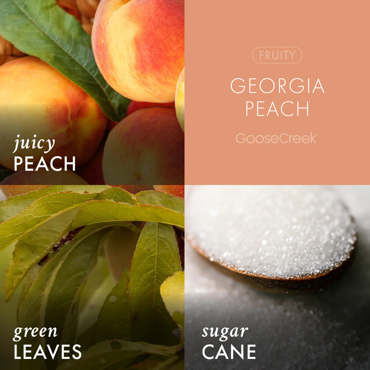 Georgia Peach Plug-in Refill