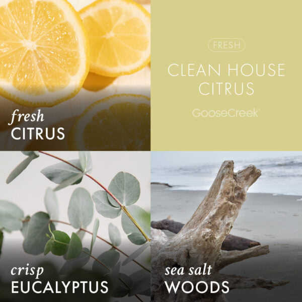 Clean House Citrus 3-Wick Candle