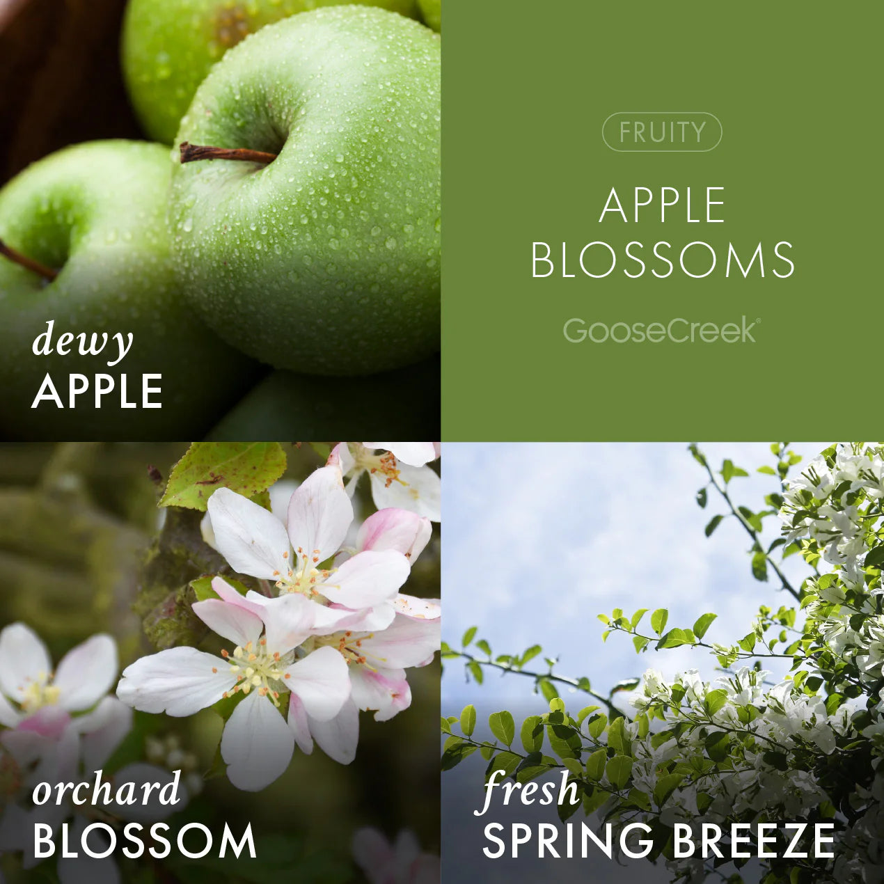 Apple Blossoms 7oz Single Wick Candle