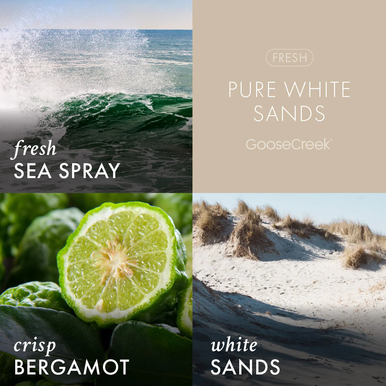 Pure White Sands 7oz Single Wick Candle